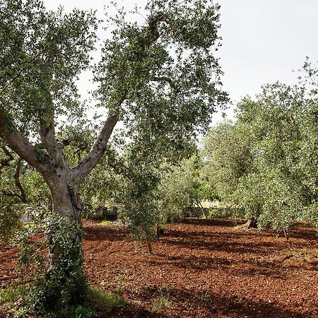 Villetta Da Zio Marcello Ostuni Esterno foto