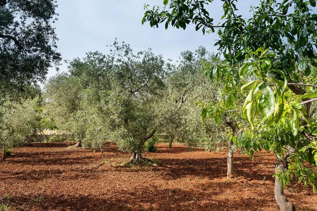 Villetta Da Zio Marcello Ostuni Esterno foto
