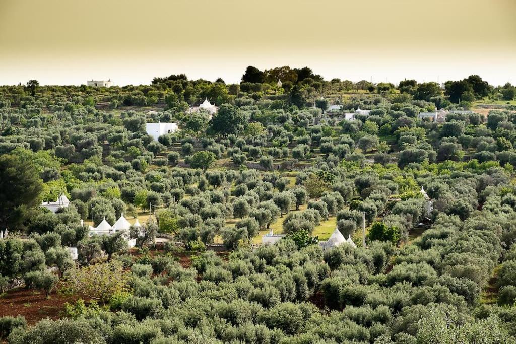 Villetta Da Zio Marcello Ostuni Esterno foto