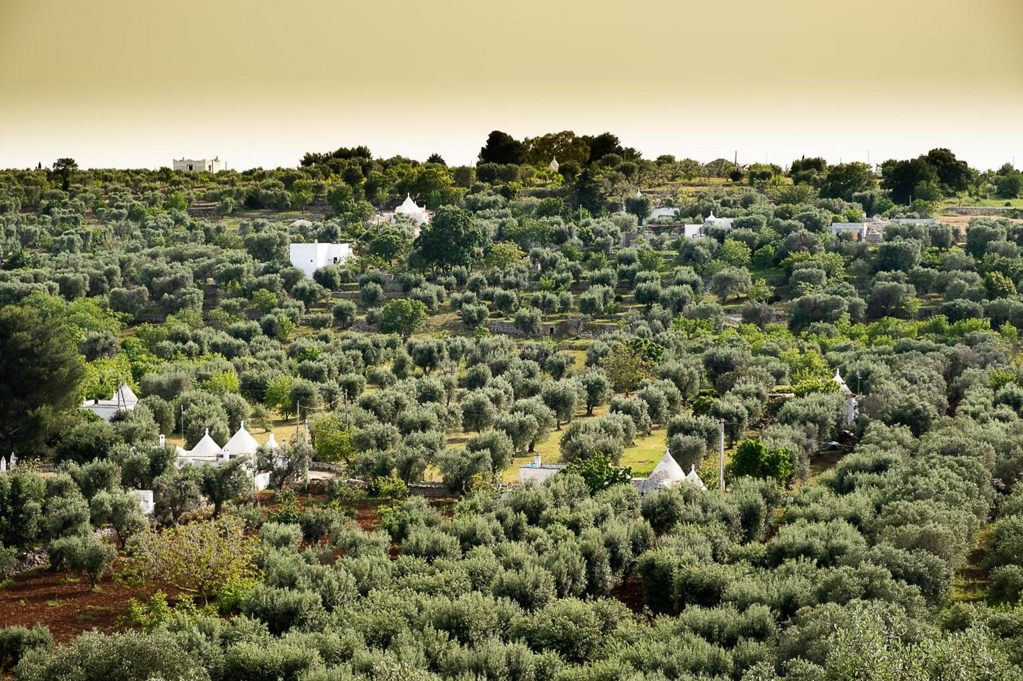 Villetta Da Zio Marcello Ostuni Esterno foto